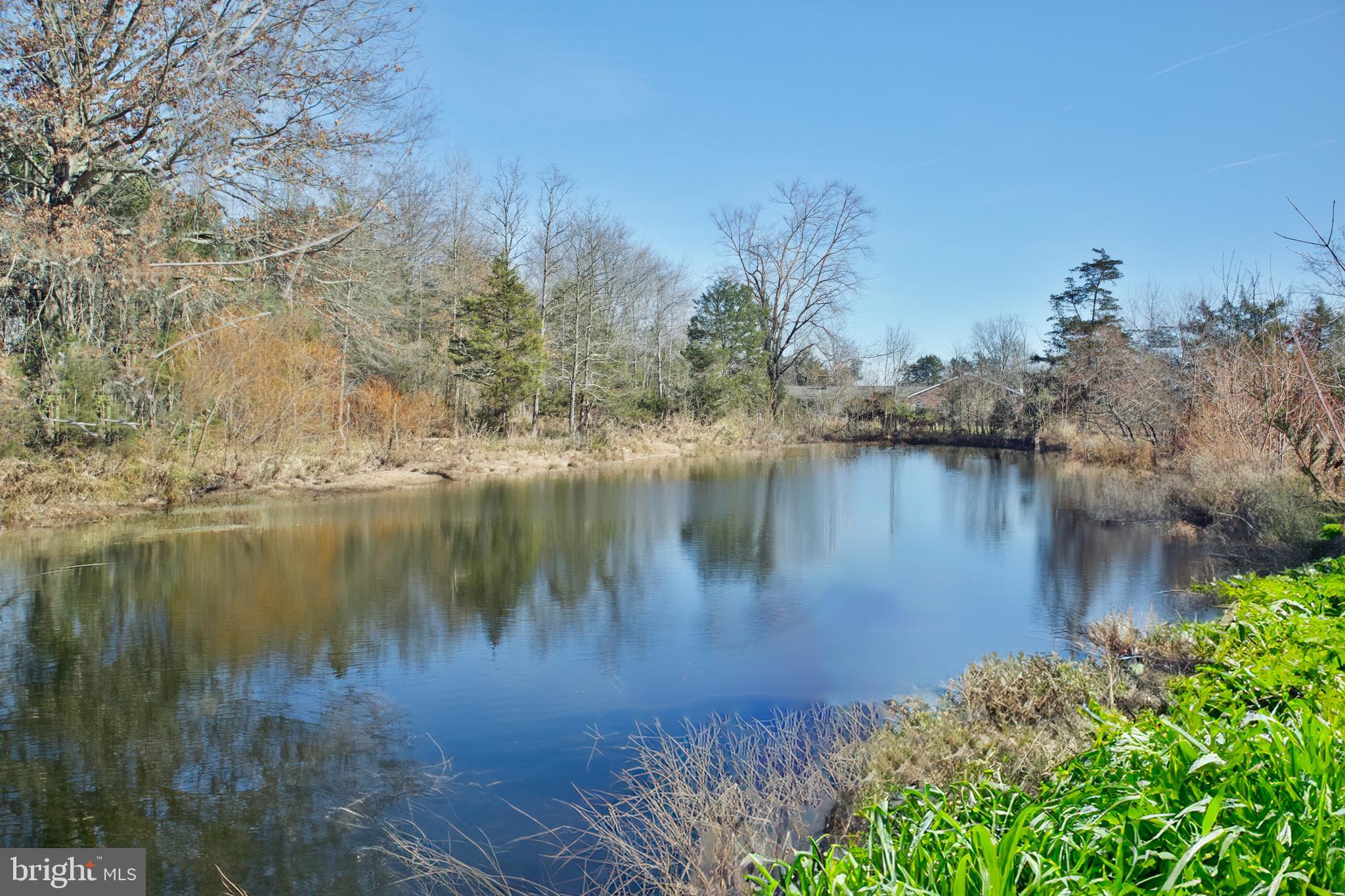 15190 Inlet Road Culpeper, VA 22701 - Photo 2 of 38 Serene pond stocked with bass