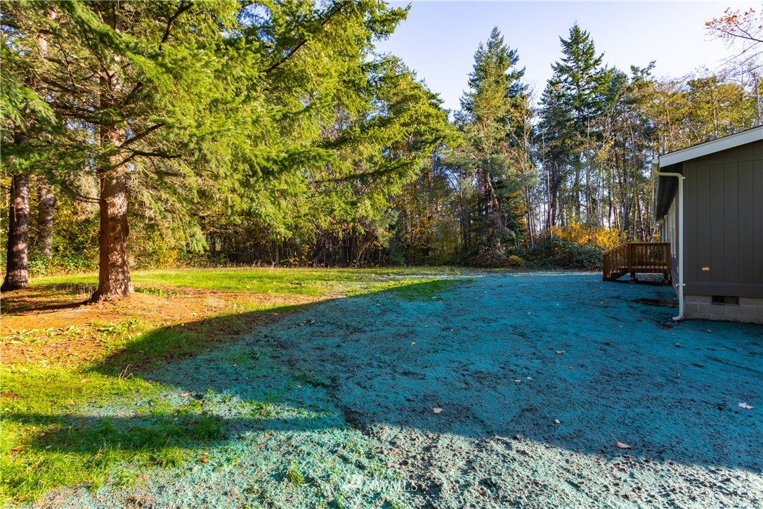 3116 Creasey Road Custer, WA 98240 - Photo 24 of 28 a view of a swimming pool with a yard
