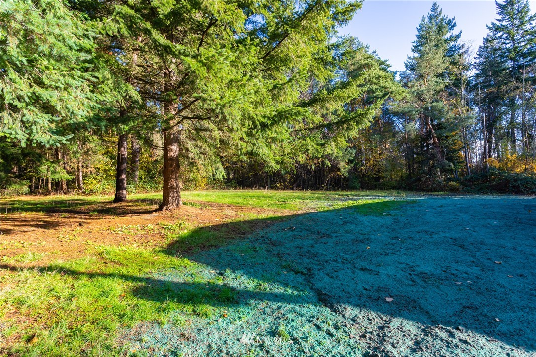 3116 Creasey Road Custer, WA 98240 - Photo 25 of 28 a view of yard with trees