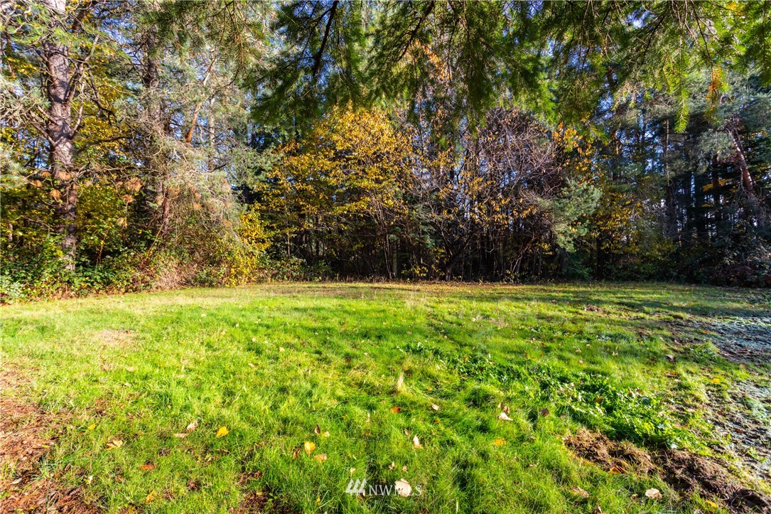 3116 Creasey Road Custer, WA 98240 - Photo 28 of 28 a view of outdoor space