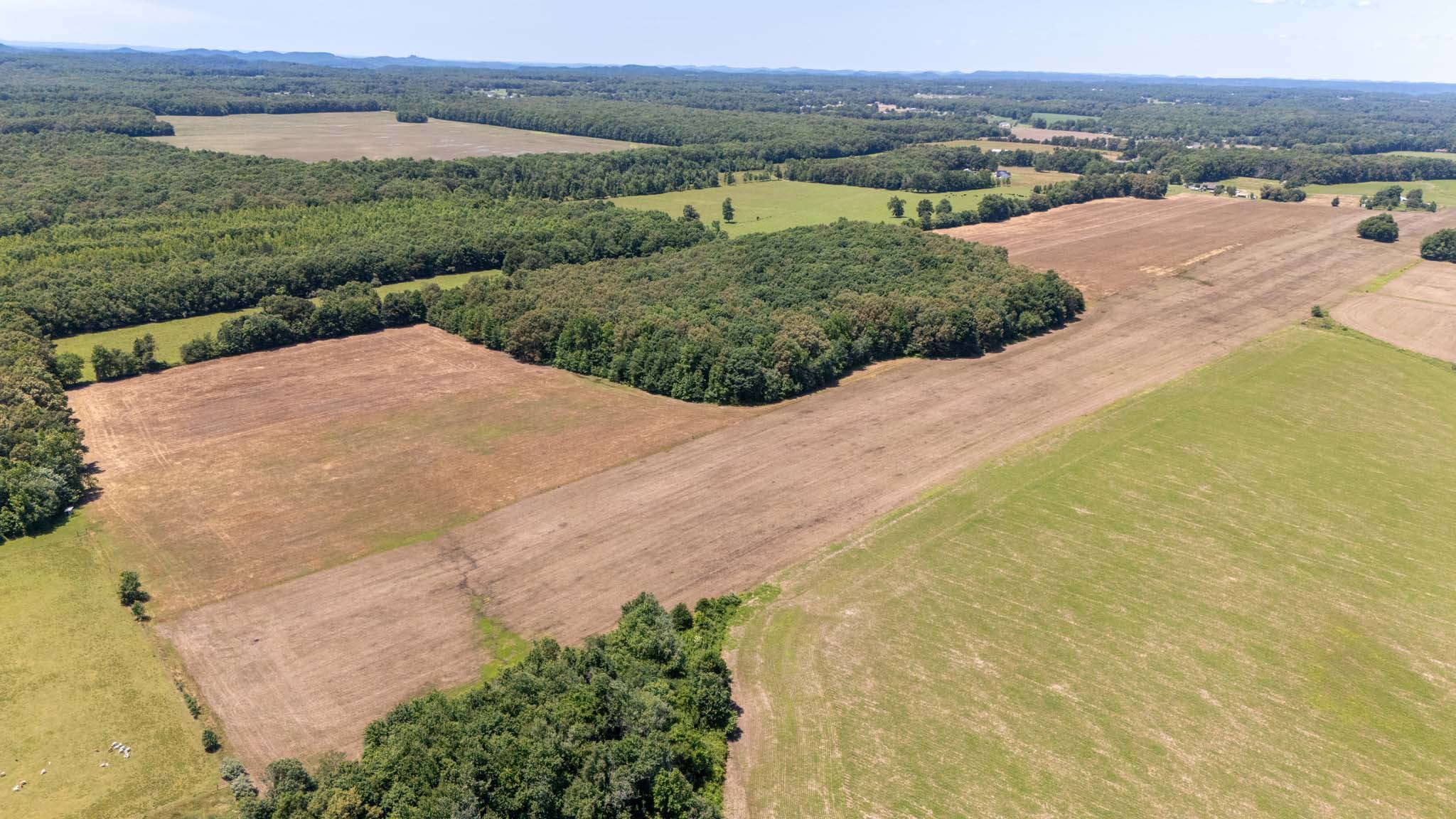 0 Brown Road Woodbury, TN 37190 - Photo 12 of 34
