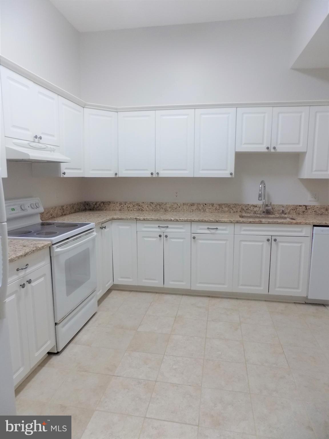 11564 Rolling Green Court, Unit 101 Reston, VA 20191 - Photo 24 of 71 Kitchen with new sink and faucet