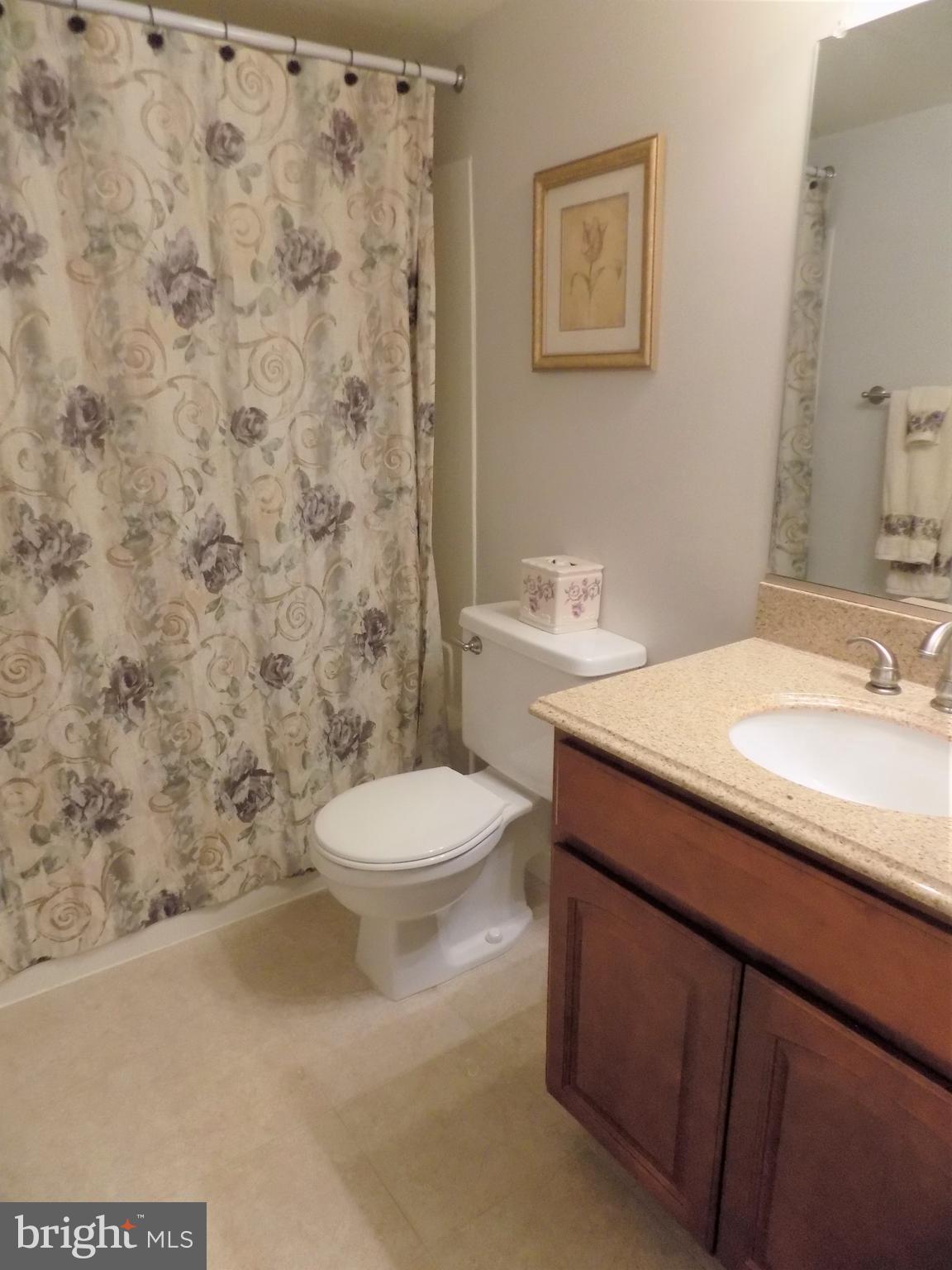 11564 Rolling Green Court, Unit 101 Reston, VA 20191 - Photo 32 of 71 Secondary bathroom