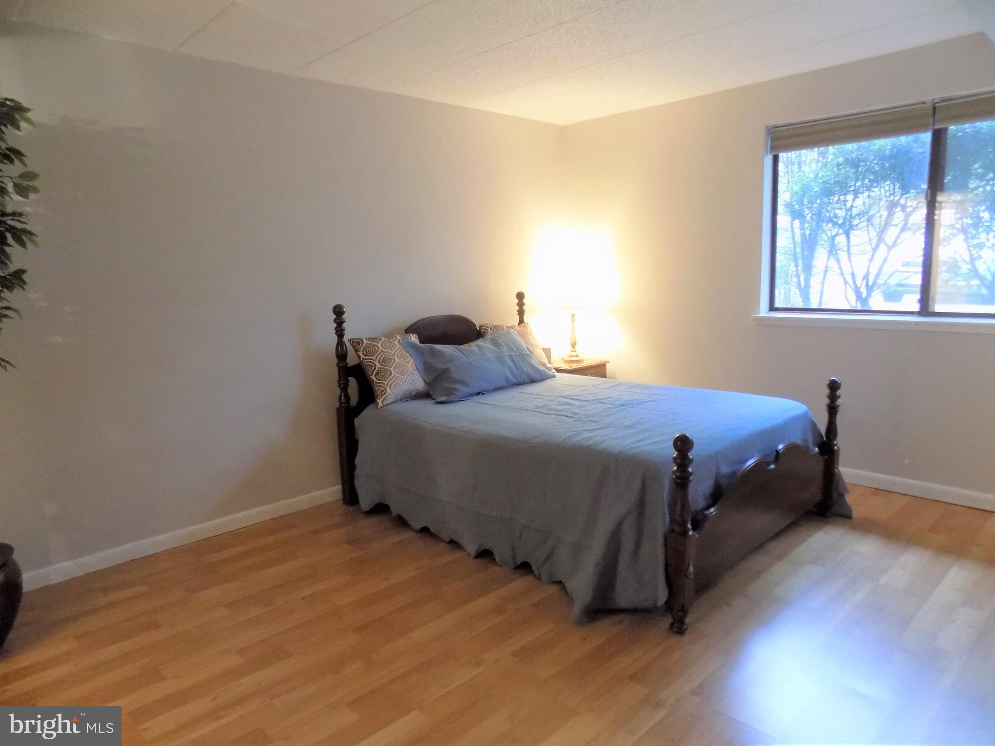 11564 Rolling Green Court, Unit 101 Reston, VA 20191 - Photo 39 of 71 Large master bedroom