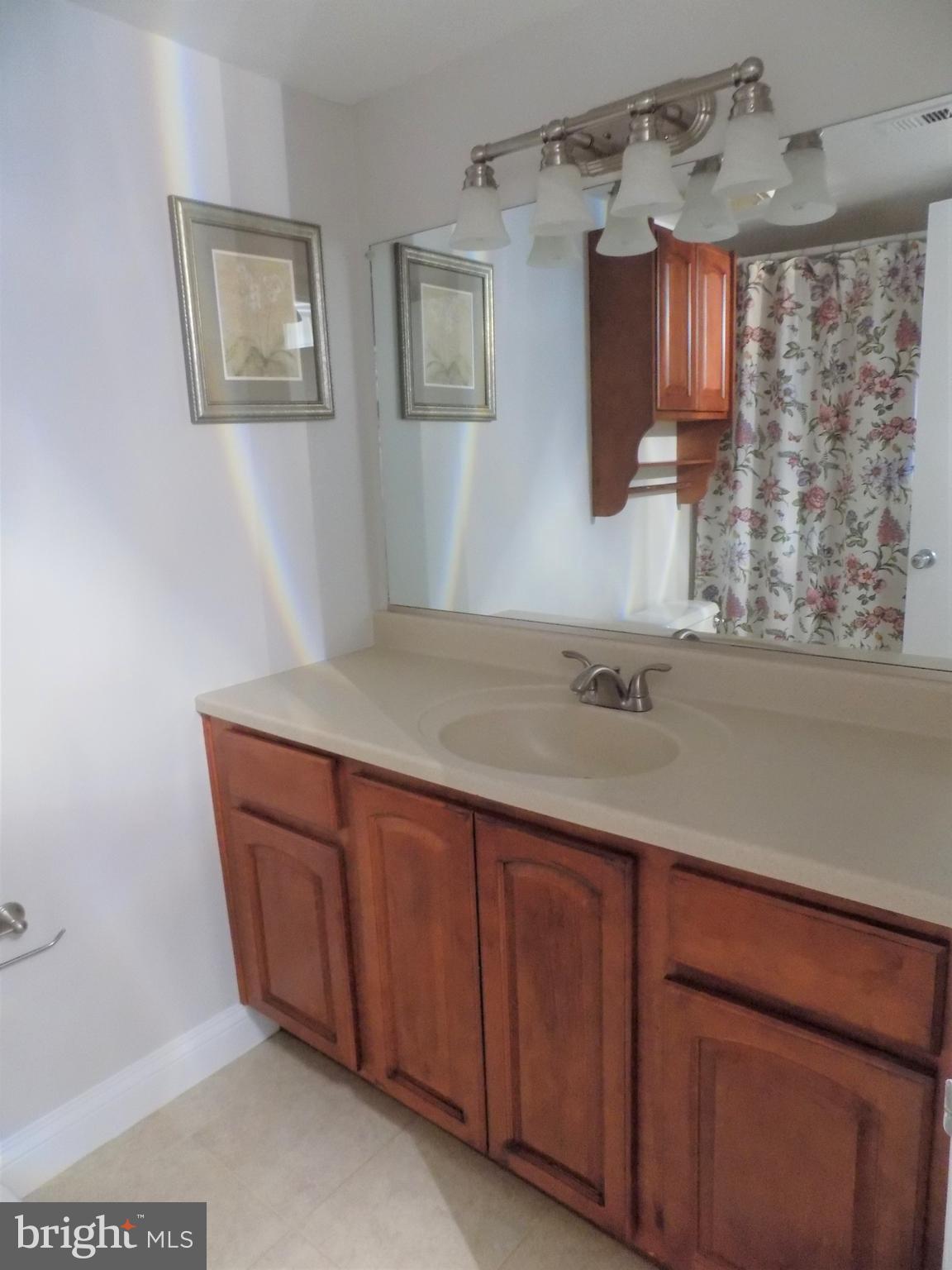 11564 Rolling Green Court, Unit 101 Reston, VA 20191 - Photo 44 of 71 Master bathroom