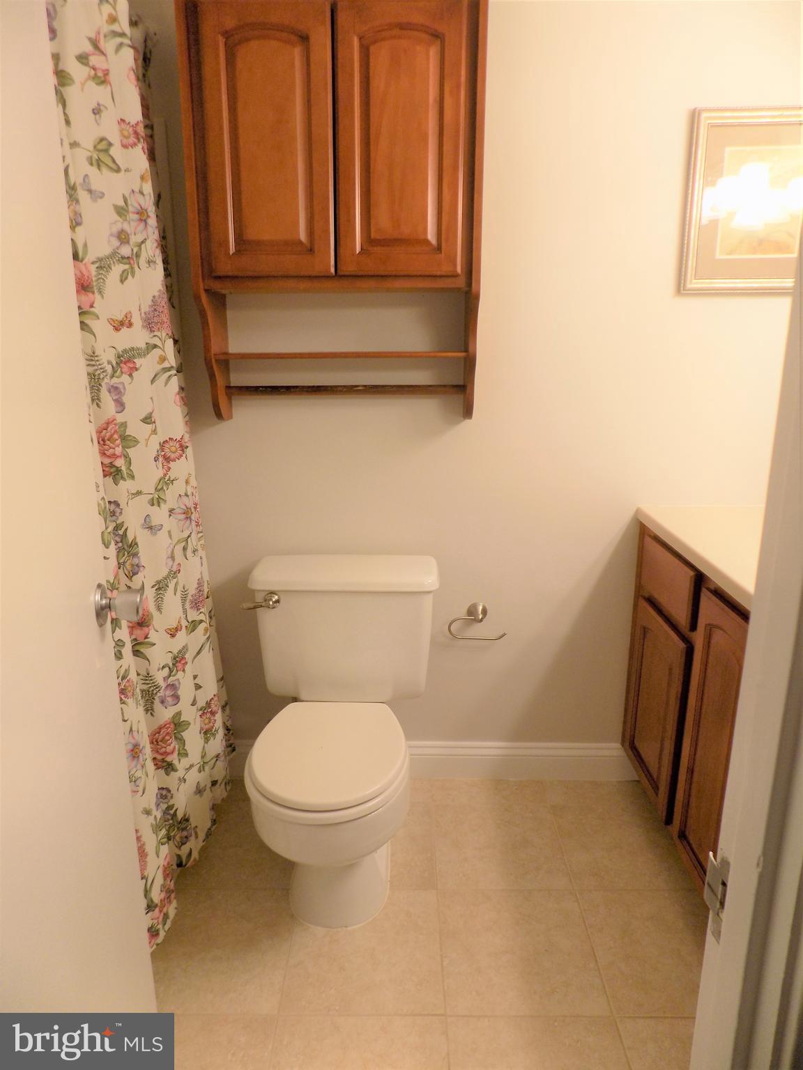 11564 Rolling Green Court, Unit 101 Reston, VA 20191 - Photo 45 of 71 Master bathroom