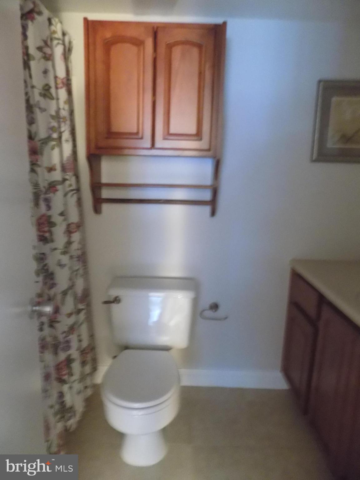 11564 Rolling Green Court, Unit 101 Reston, VA 20191 - Photo 46 of 71 Master bathroom