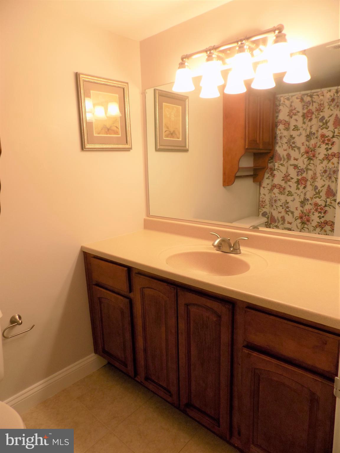 11564 Rolling Green Court, Unit 101 Reston, VA 20191 - Photo 47 of 71 Master bathroom