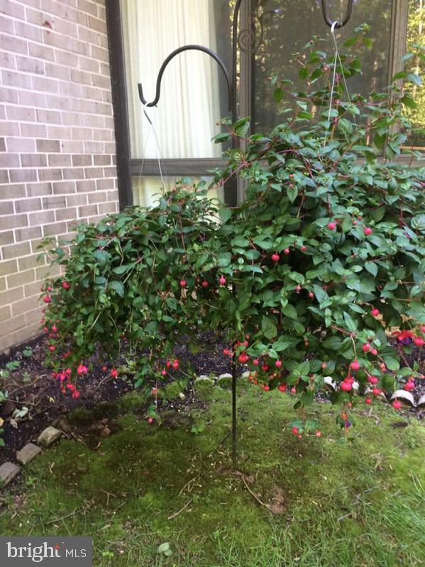 11564 Rolling Green Court, Unit 101 Reston, VA 20191 - Photo 50 of 71 Normal view from dining room windows