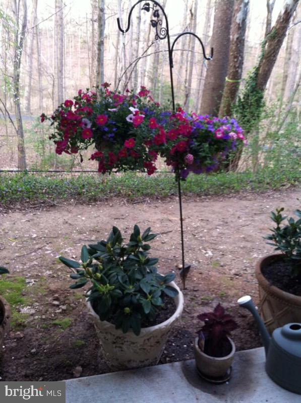 11564 Rolling Green Court, Unit 101 Reston, VA 20191 - Photo 51 of 71 Normal view from family room windows