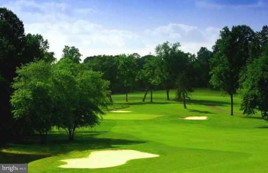 11564 Rolling Green Court, Unit 101 Reston, VA 20191 - Photo 52 of 71 Golf course