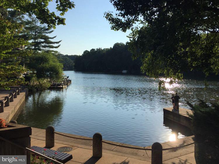 11564 Rolling Green Court, Unit 101 Reston, VA 20191 - Photo 58 of 71 Lake Anne