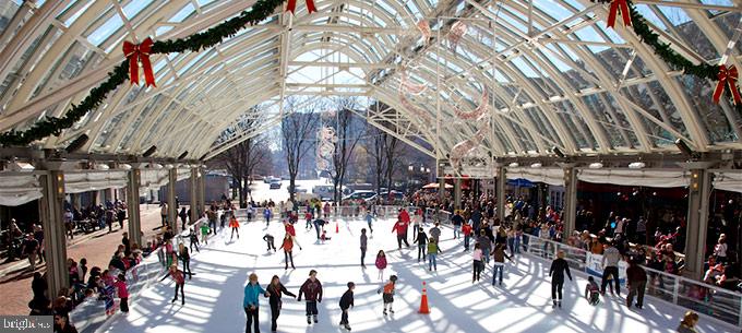 11564 Rolling Green Court, Unit 101 Reston, VA 20191 - Photo 66 of 71 The ice rink at Reston town center