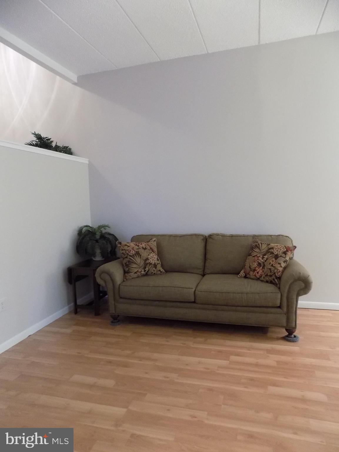 11564 Rolling Green Court, Unit 101 Reston, VA 20191 - Photo 8 of 71 Family room with soaring ceilings