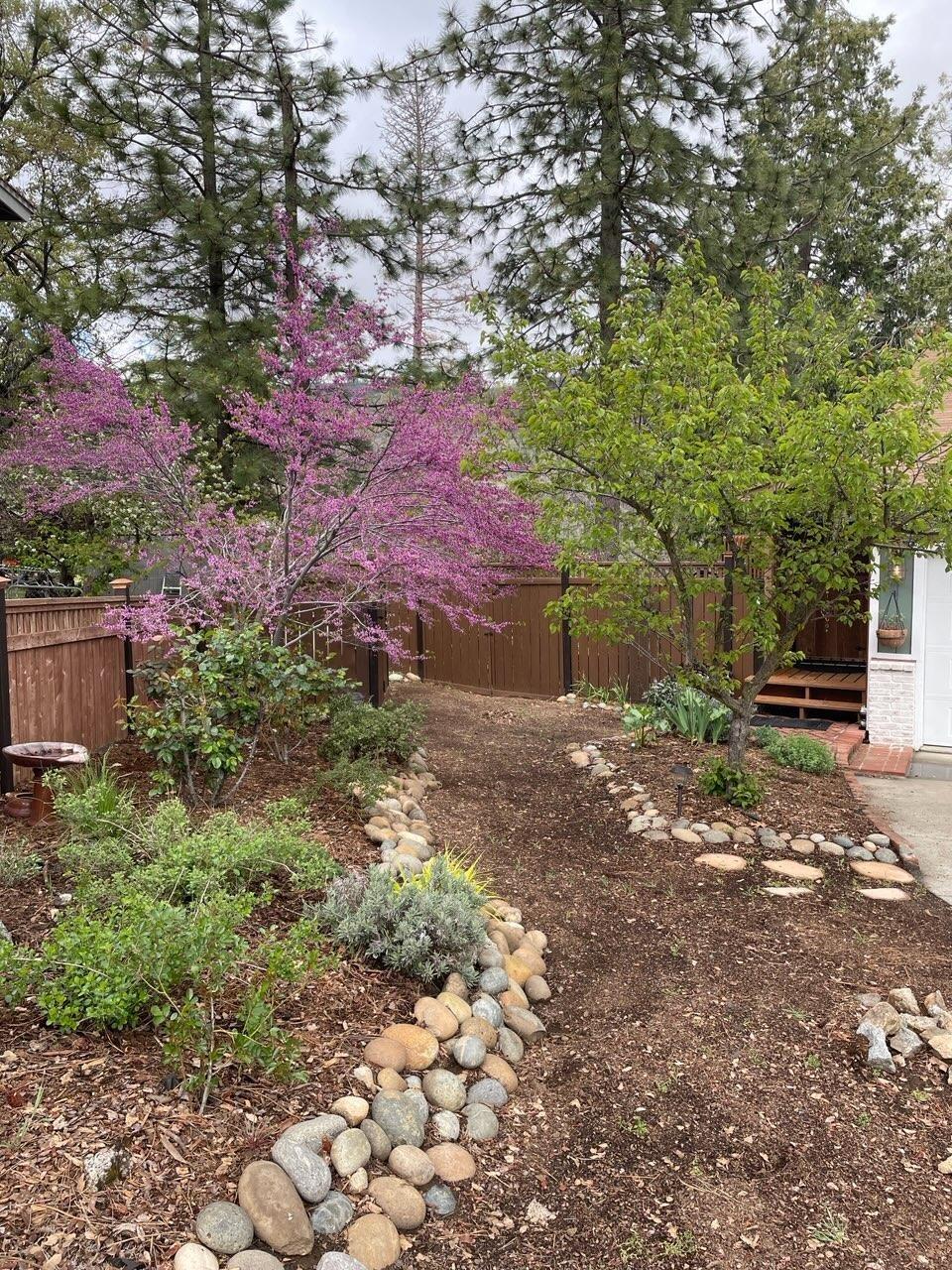 33952 Tocaloma Road Auberry, CA 93602 - Photo 44 of 48 a backyard of a house with lots of green space