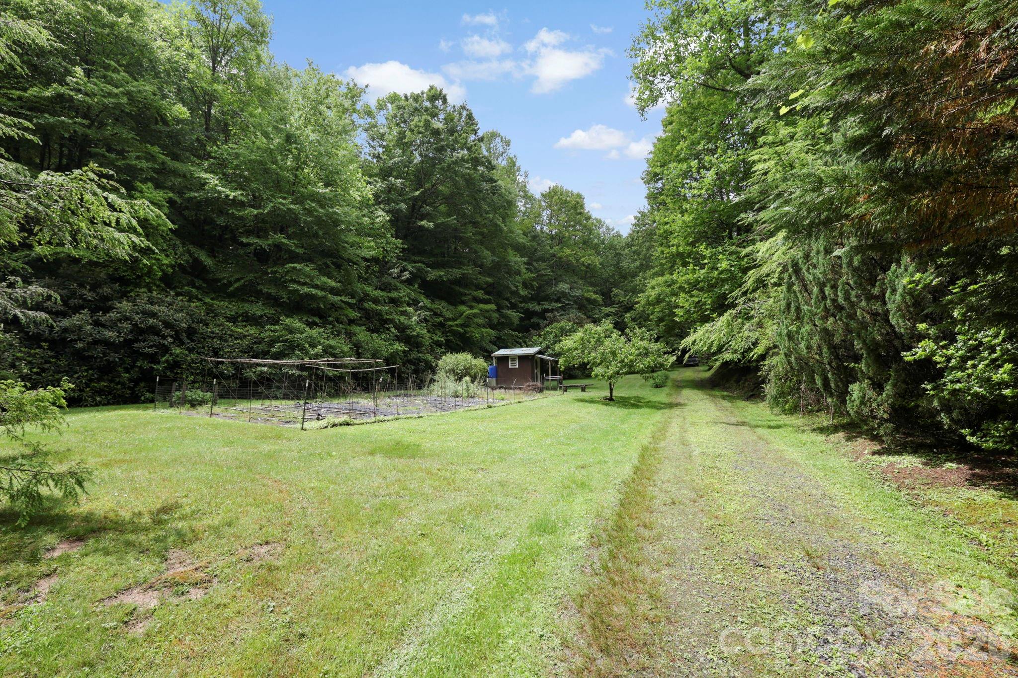 153 South Gray Fox Road, Unit 5 Rosman, NC 28772 - Photo 6 of 33