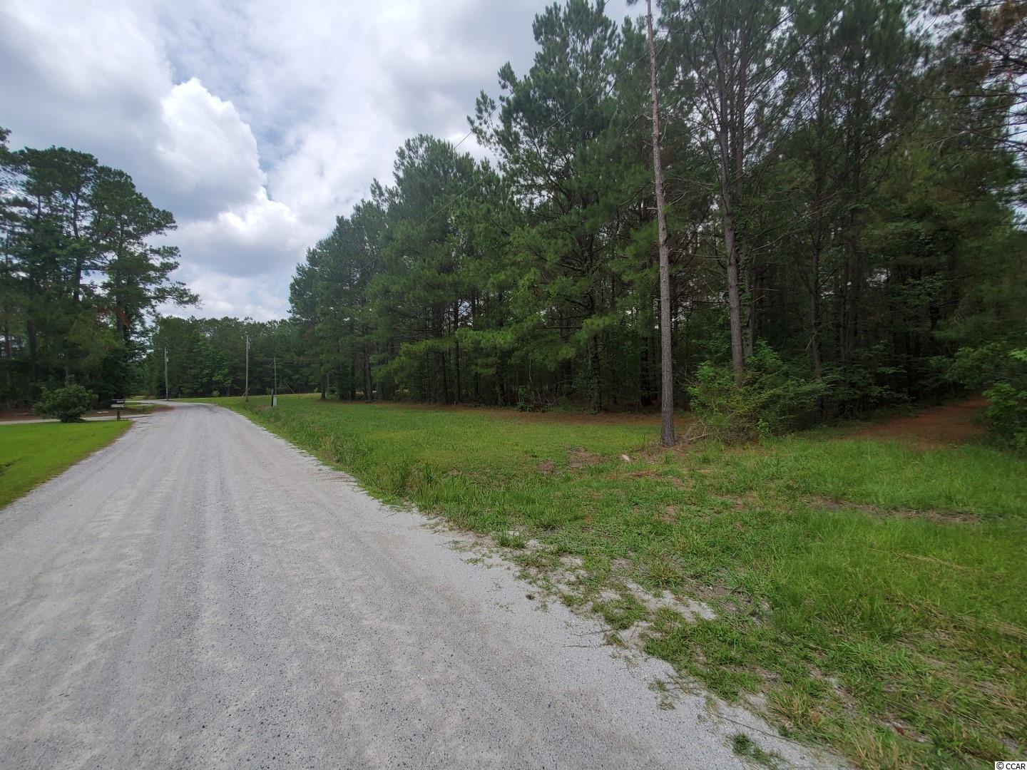2991 Dossies Road Conway, SC 29526 - Photo 3 of 6 Gallery Image 3