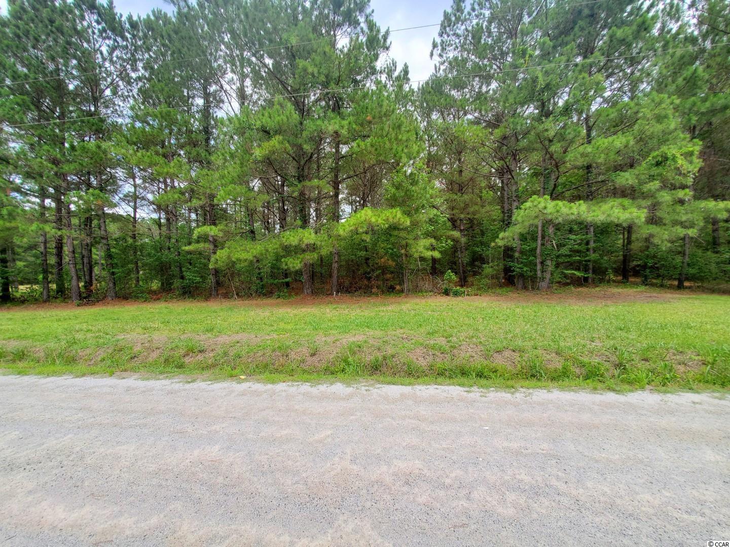 2991 Dossies Road Conway, SC 29526 - Photo 4 of 6 Gallery Image 4