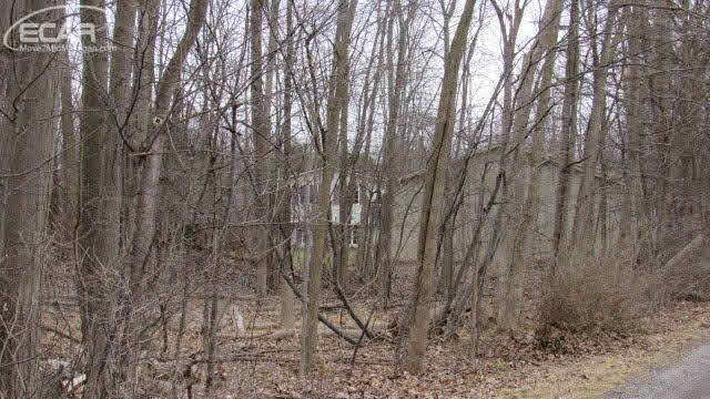 1048 East Hurd Road Clio, MI 48420 - Photo 9 of 30 21278618-8.JPG