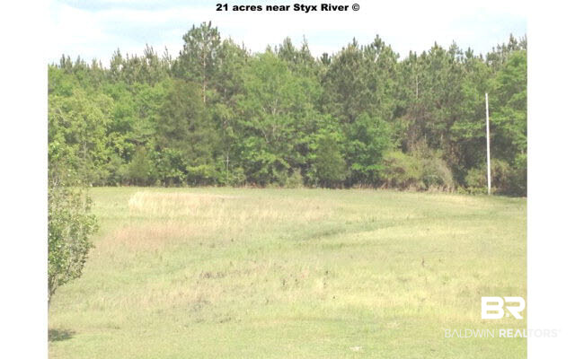 25885 Goat Cooper Road Robertsdale, AL 36567 - Photo 39 of 44