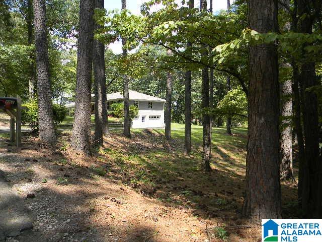 100 Lee Lane Alabaster, AL 35007 - Photo 48 of 48