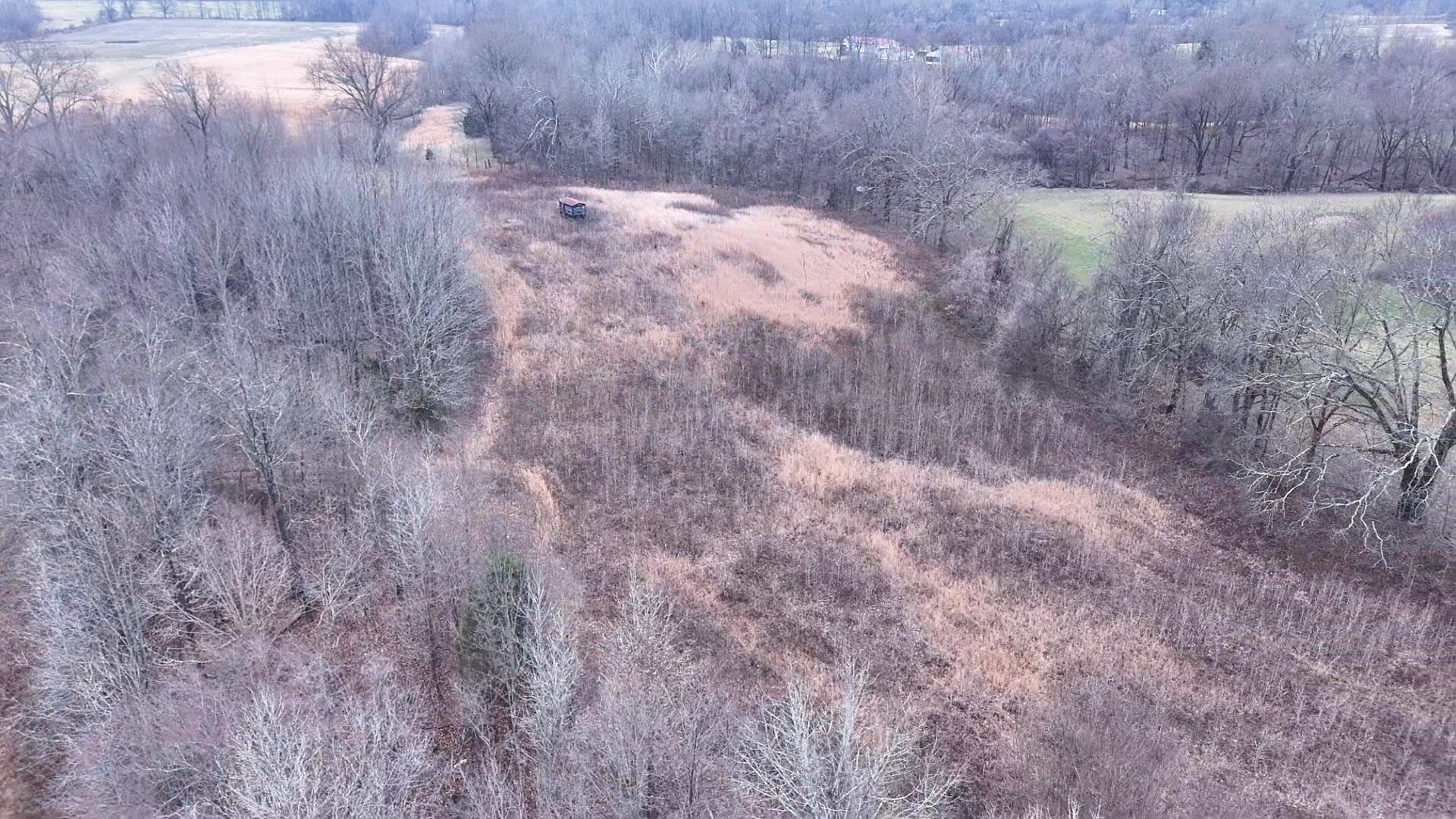 0 Curve Woodville Road Ripley, TN 38063 - Photo 2 of 7 a view of a dry yard