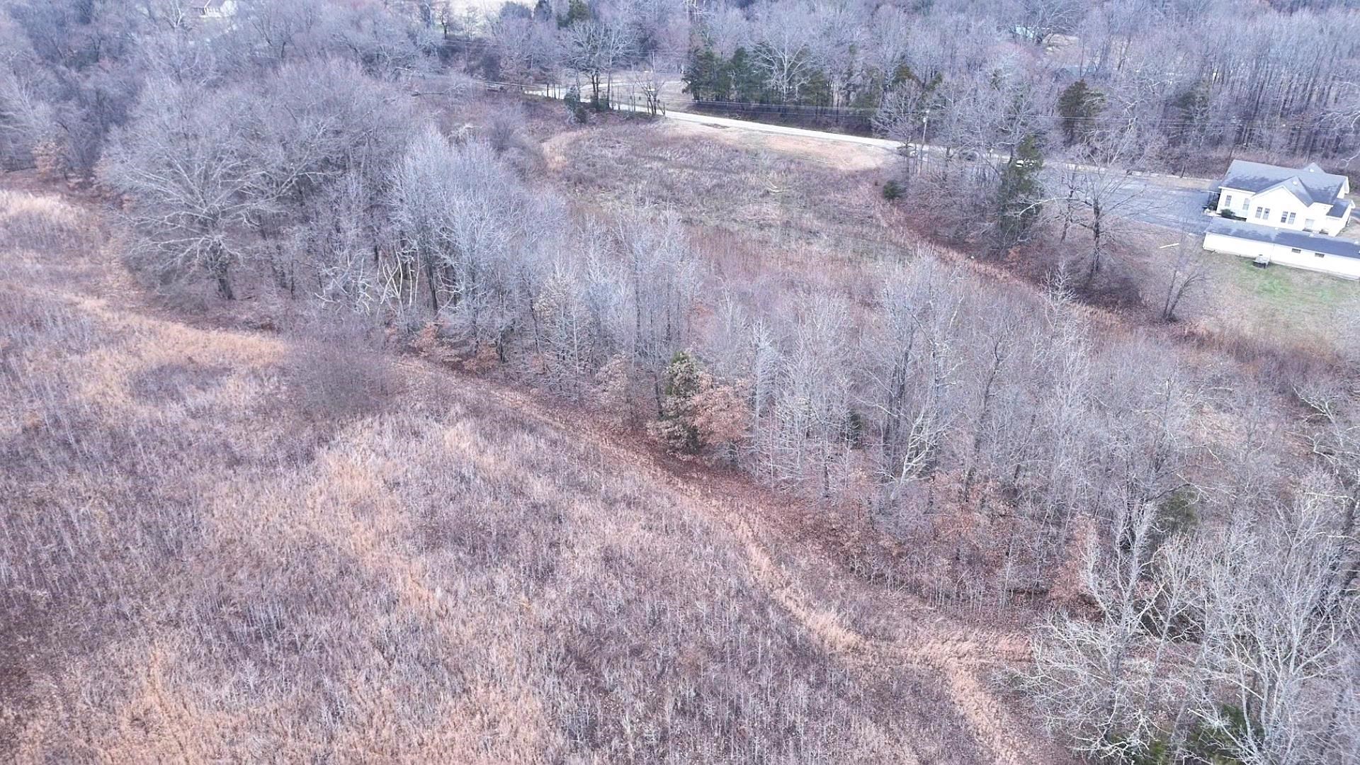 0 Curve Woodville Road Ripley, TN 38063 - Photo 3 of 7 a view of a dry yard with trees