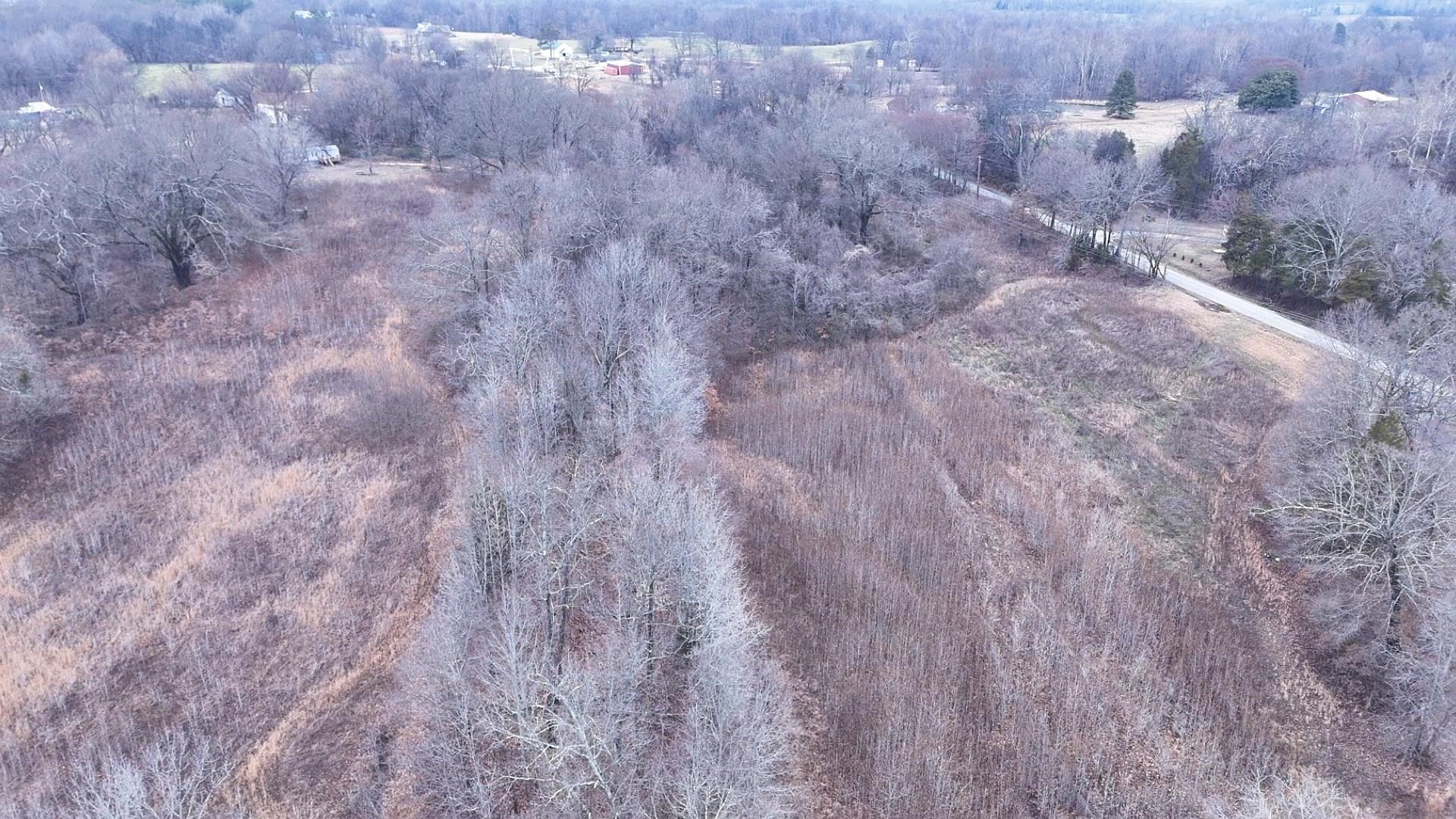 0 Curve Woodville Road Ripley, TN 38063 - Photo 5 of 7