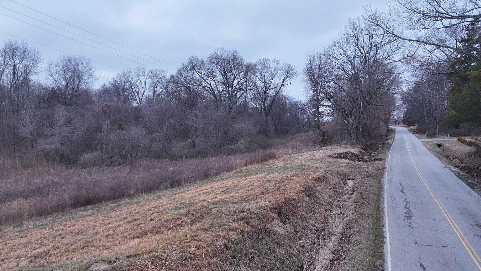 0 Curve Woodville Road Ripley, TN 38063 - Photo 6 of 7 a view of a dry yard with trees and stairs