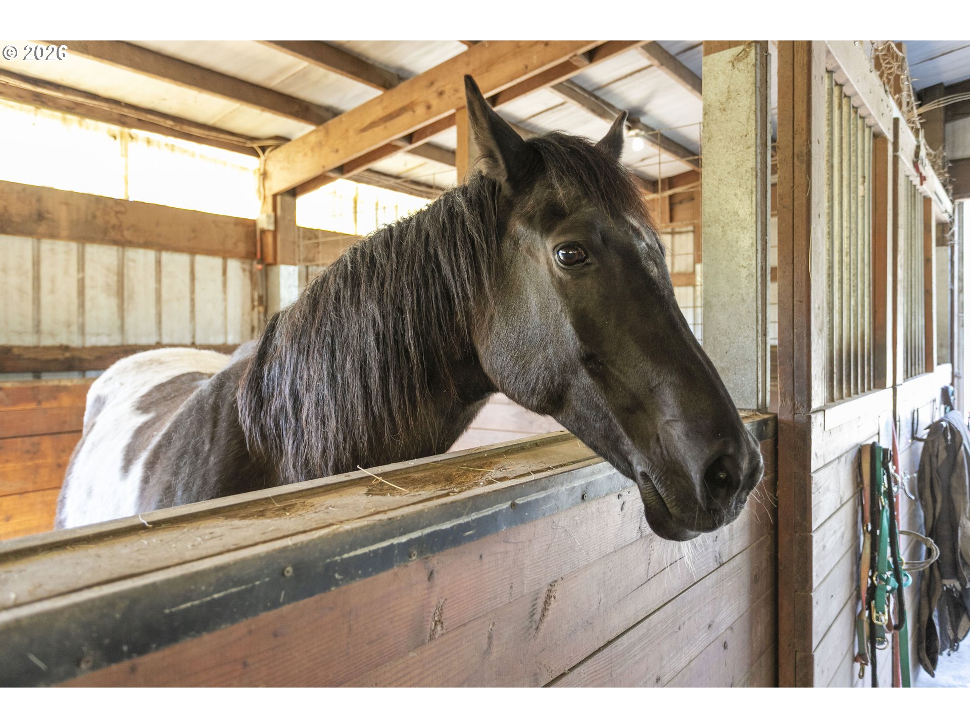 295 Kangas Road Toledo, WA 98591 - Photo 13 of 46