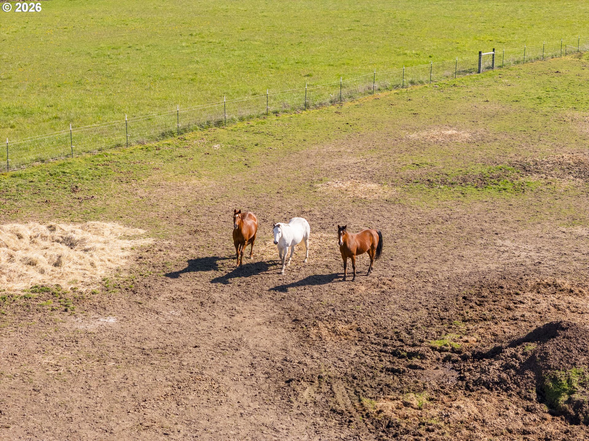 295 Kangas Road Toledo, WA 98591 - Photo 16 of 46