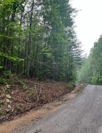 $39,900 | 0 Possum Trot Road, Grandview, TN 37337