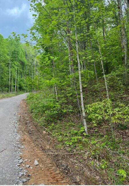 0 Possum Trot Road Grandview, TN 37337 - Photo 3 of 4 anderson 3