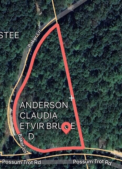 0 Possum Trot Road Grandview, TN 37337 - Photo 4 of 4 anderson 4