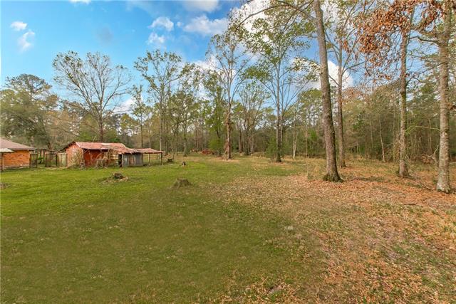 26000 Robertson Road Holden, LA 70744 - Photo 33 of 34