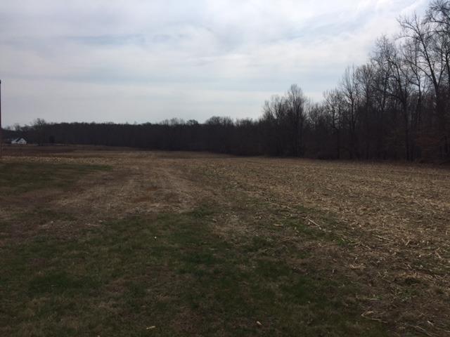 745 Todd Road Eubank, KY 42567 - Photo 44 of 46 Additional Photo