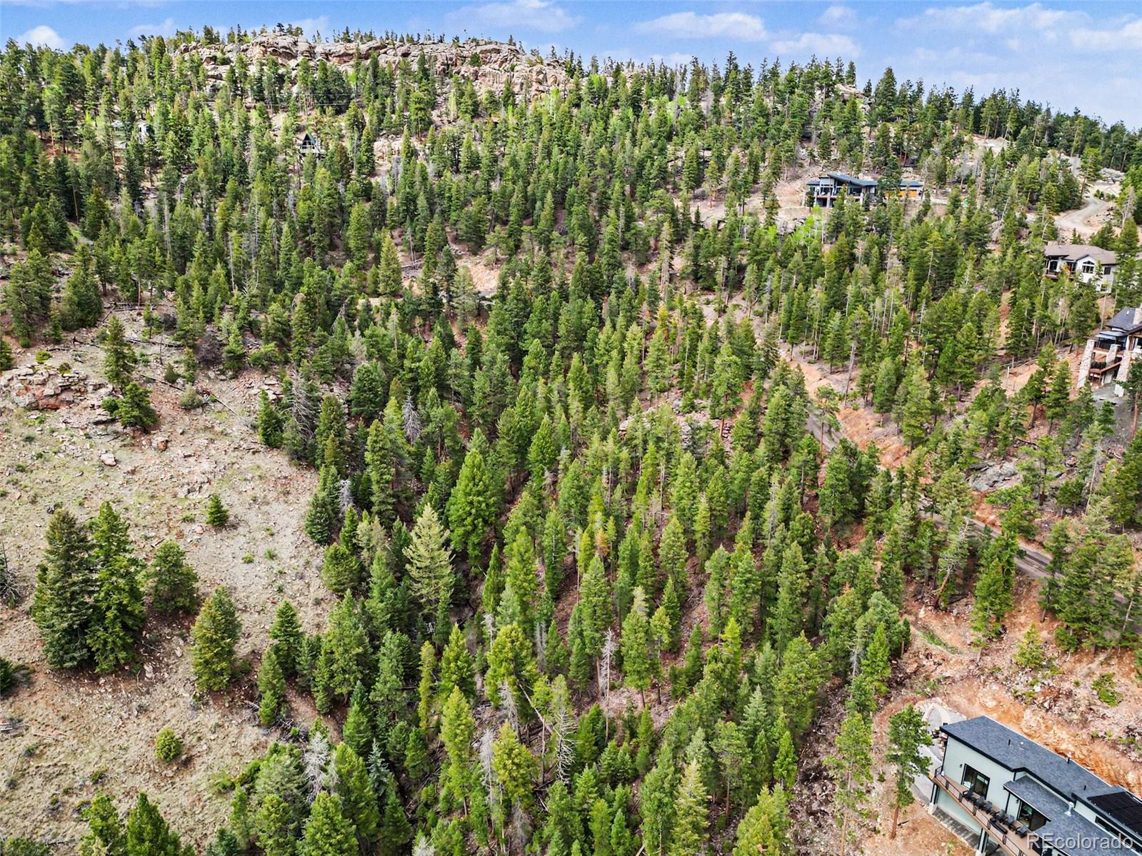 7141 Timber Trail Road Evergreen, CO 80439 - Photo 8 of 9