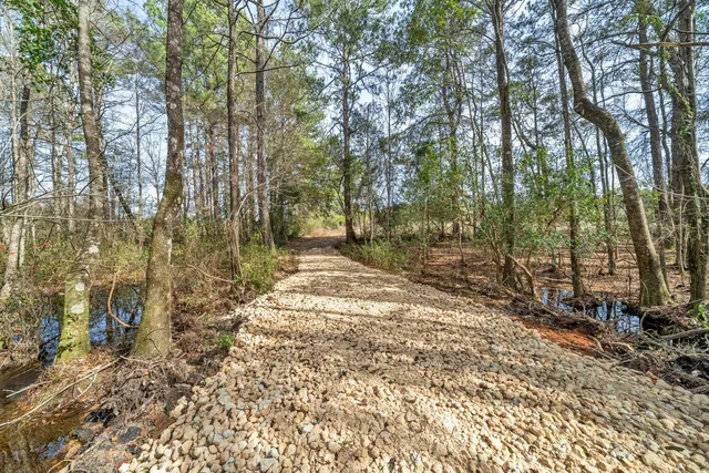 a view of backyard with green space