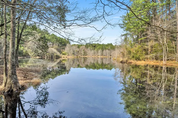 a view of back yard of the house