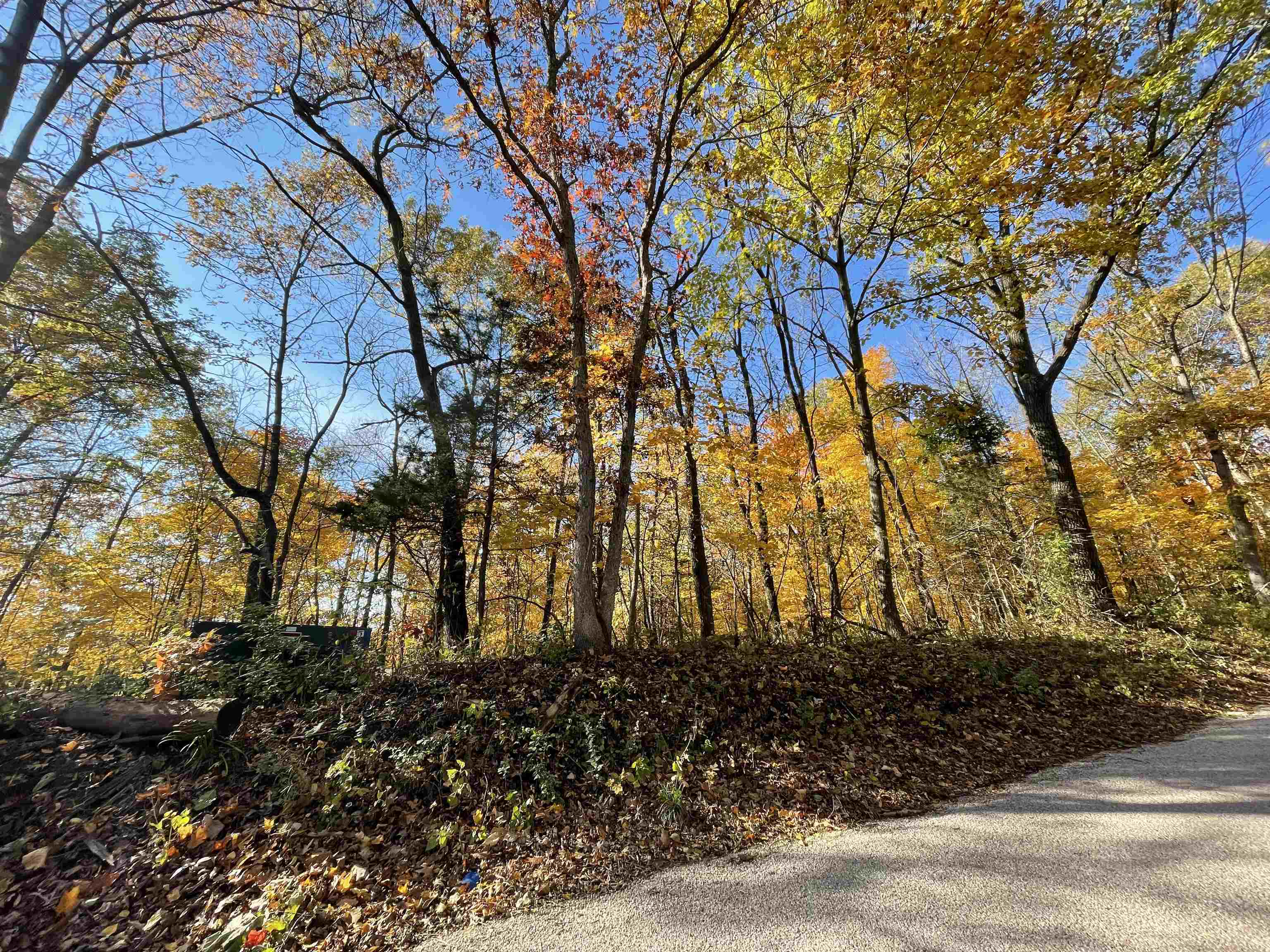 Tbd South Blanding Road Hanover, IL 61041 - Photo 12 of 18 a view of a yard
