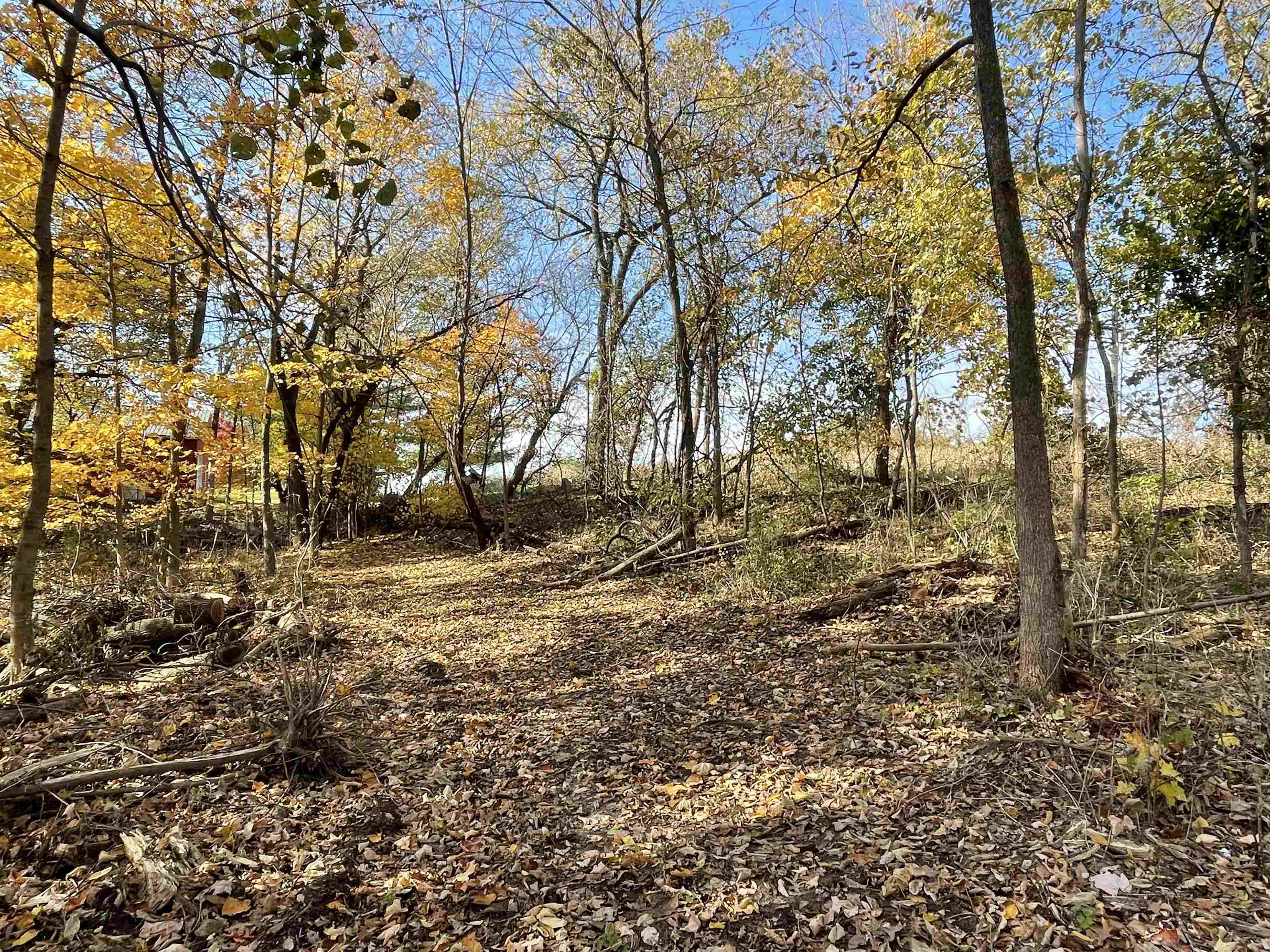 Tbd South Blanding Road Hanover, IL 61041 - Photo 7 of 18 a view of yard