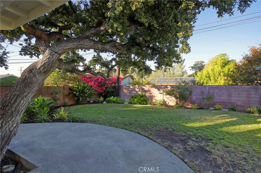 7861 Cora Street Sunland, CA 91040 - Photo 10 of 58 a view of a tree with a yard