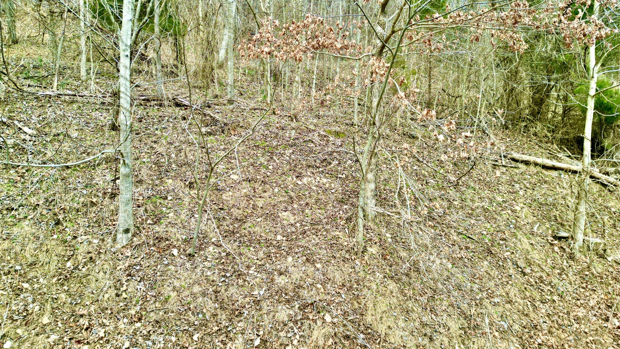 104 Blackberry Ridge Way Smithville, TN 37166 - Photo 5 of 6 a bathroom with a shower curtain