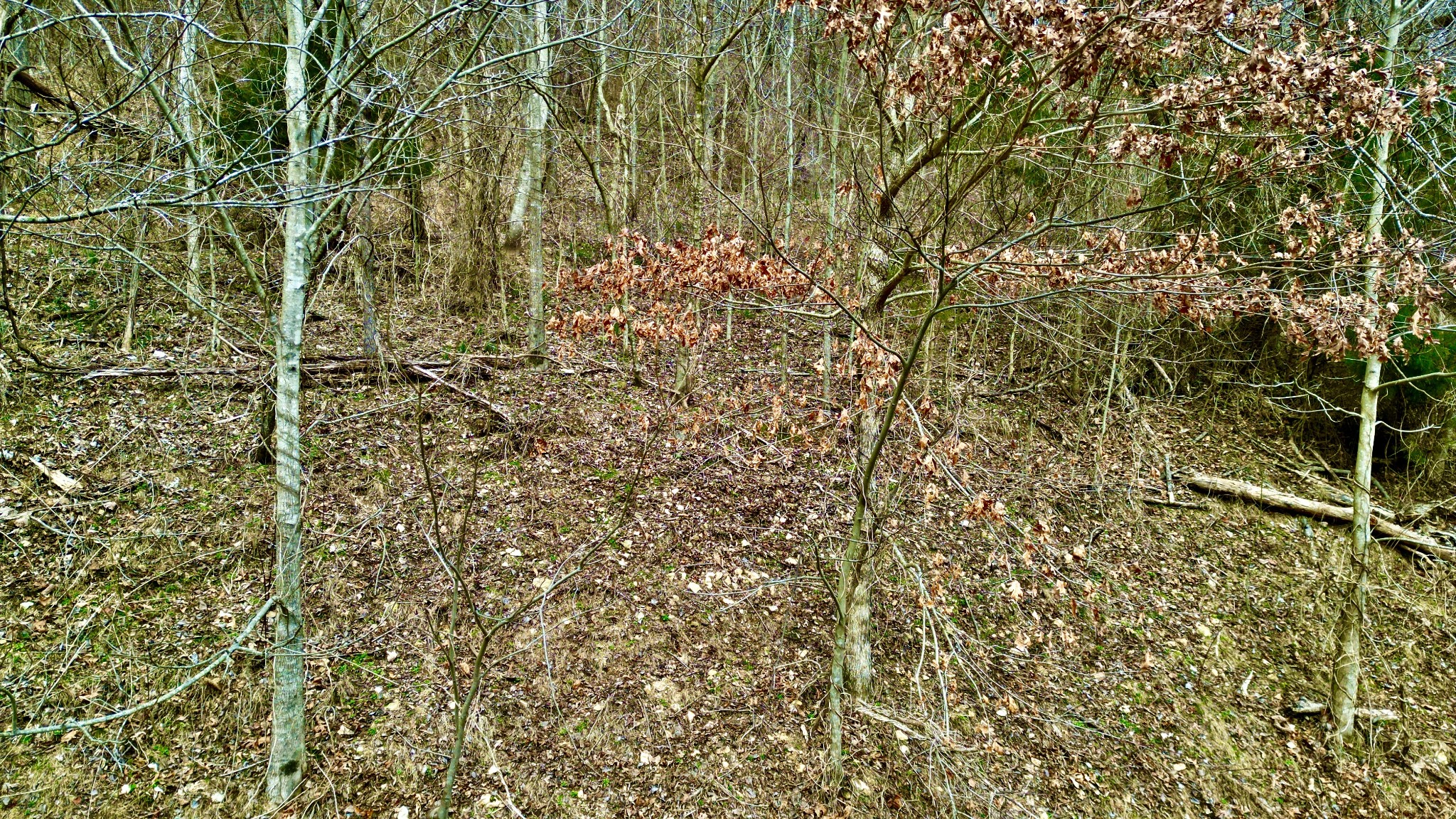 104 Blackberry Ridge Way Smithville, TN 37166 - Photo 6 of 6