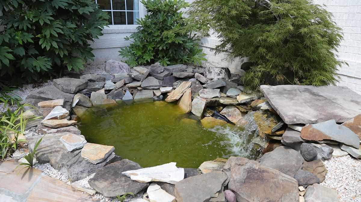 Recently Replaced Liner and Pump. Just add Fish ! Koi Pond Entrance