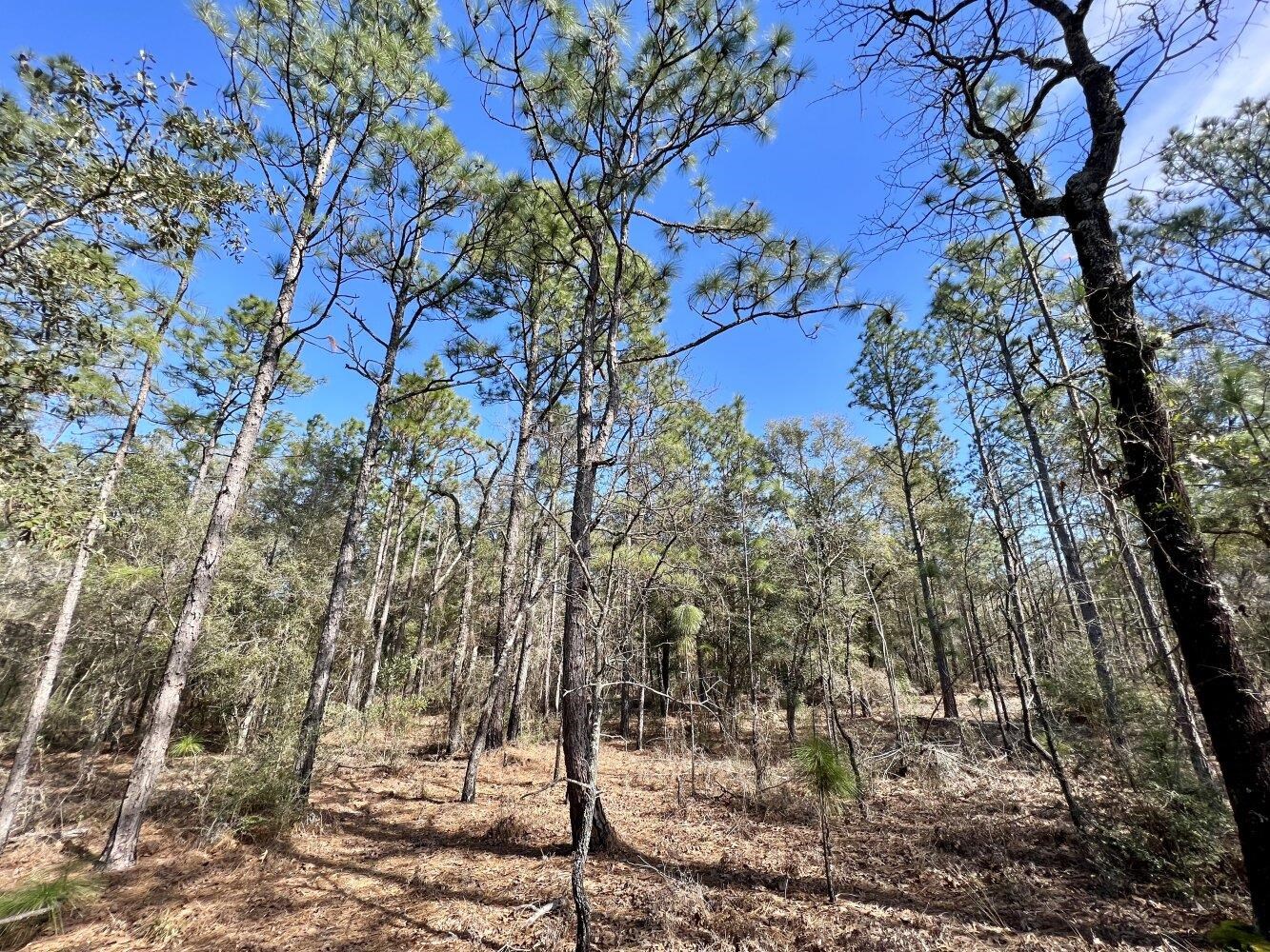 0 Dixon Road Bay Minette, AL 36507 - Photo 41 of 50