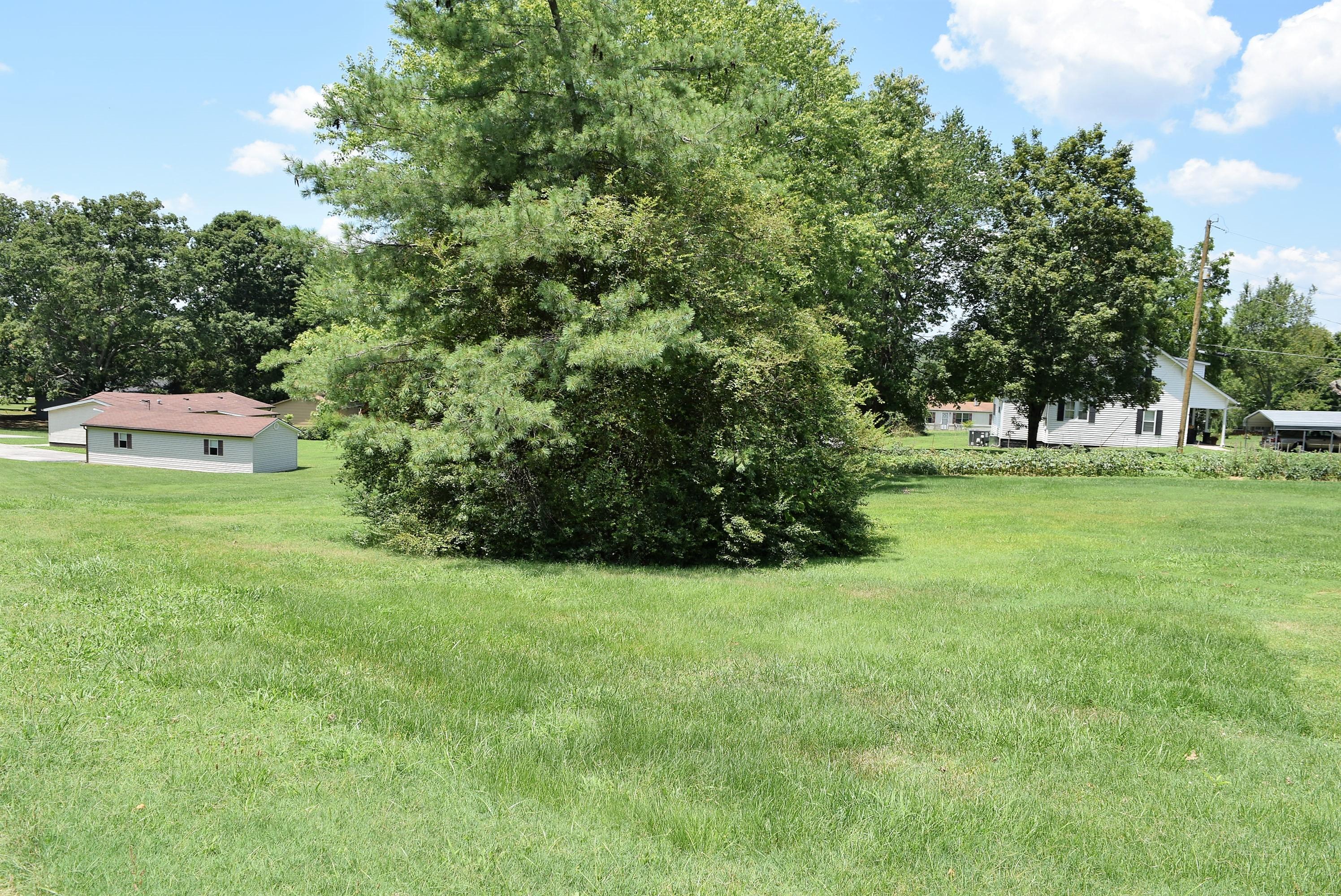 0 Tellico Avenue Athens, TN 37303 - Photo 2 of 12 DSC_0294