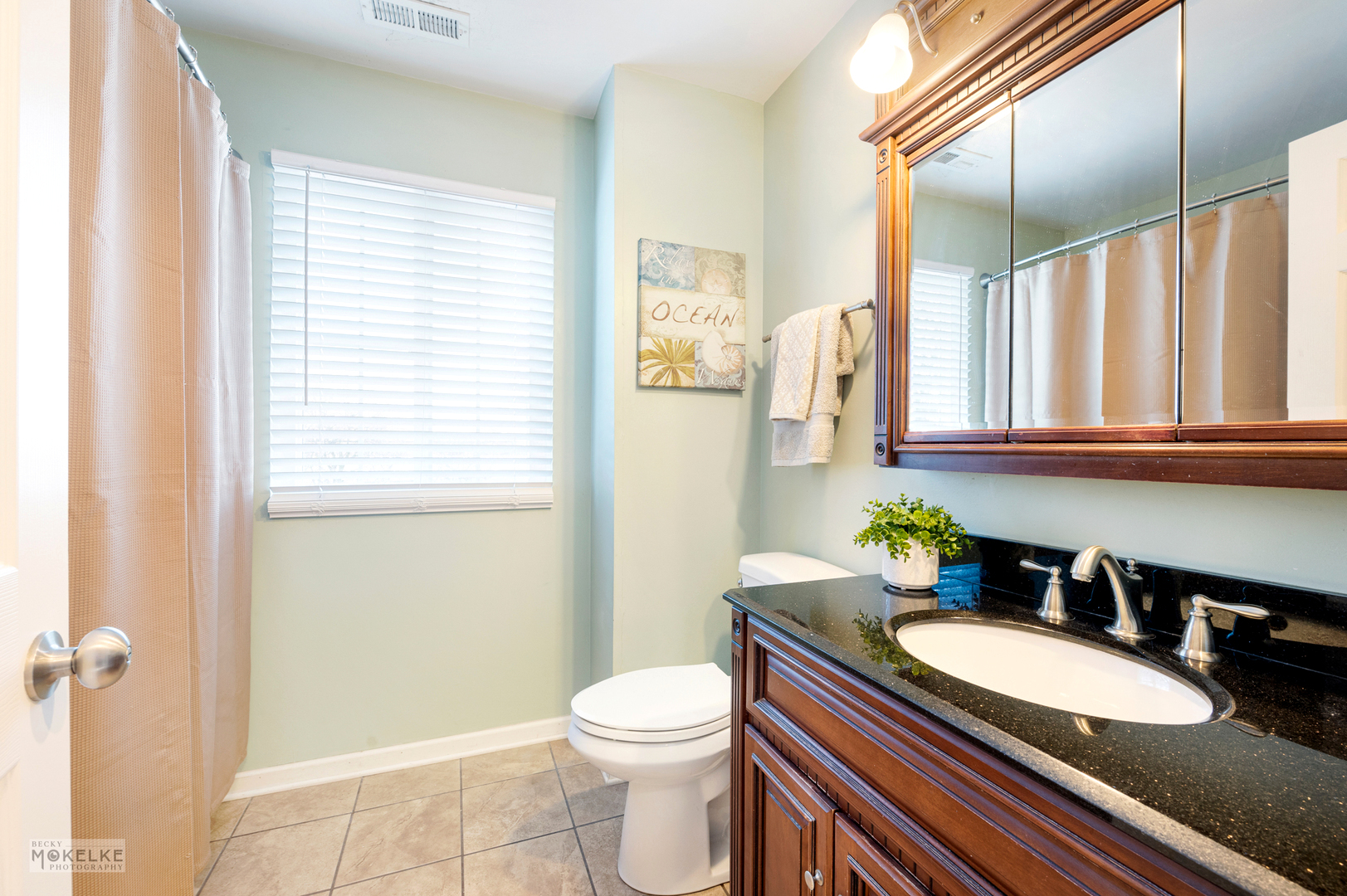 1704 Normantown Road, Unit 445 Naperville, IL 60564 - Photo 11 of 16 Gallery Image 11