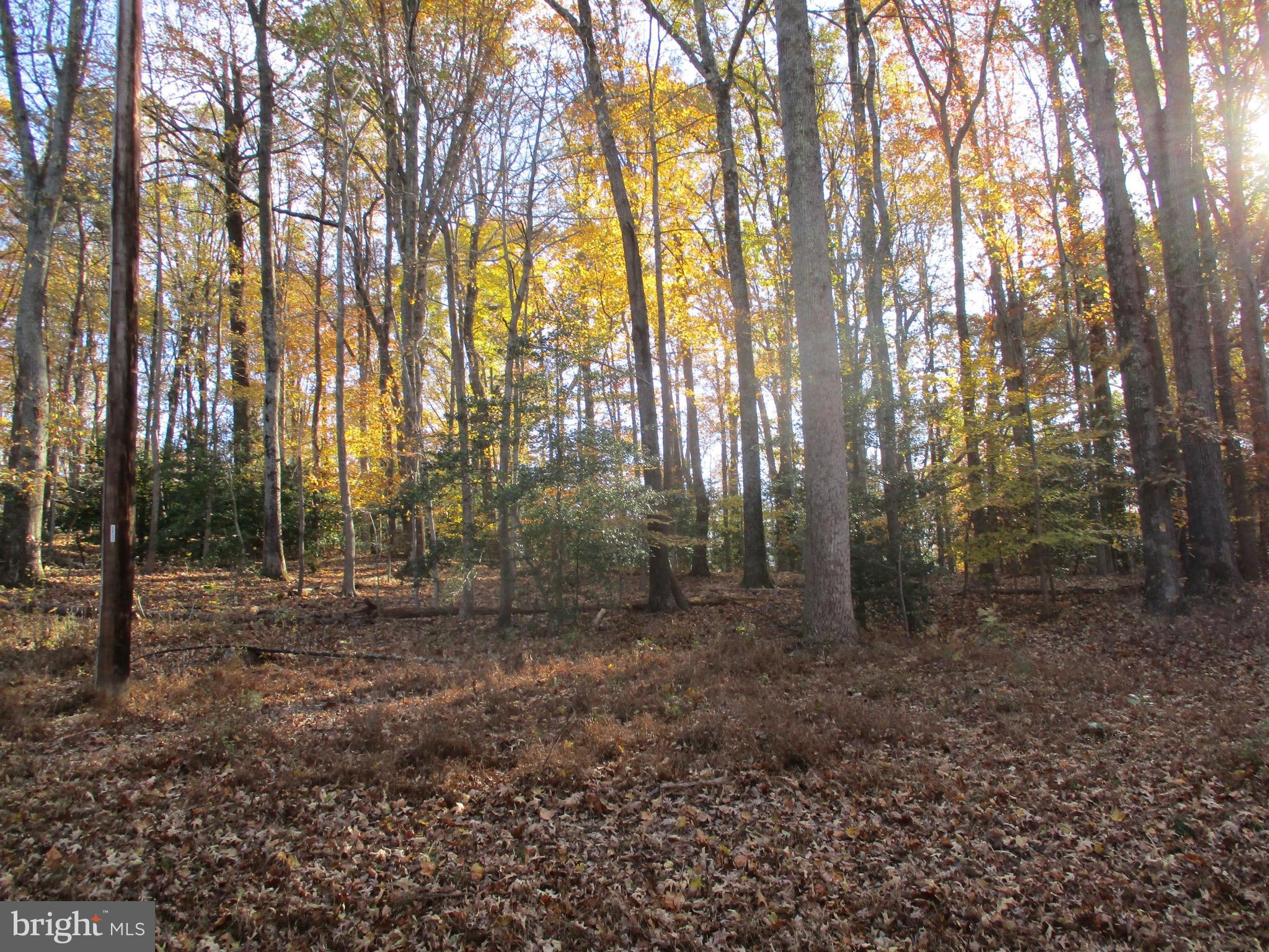 Huntingtown Road Huntingtown, MD 20639 - Photo 13 of 18 View