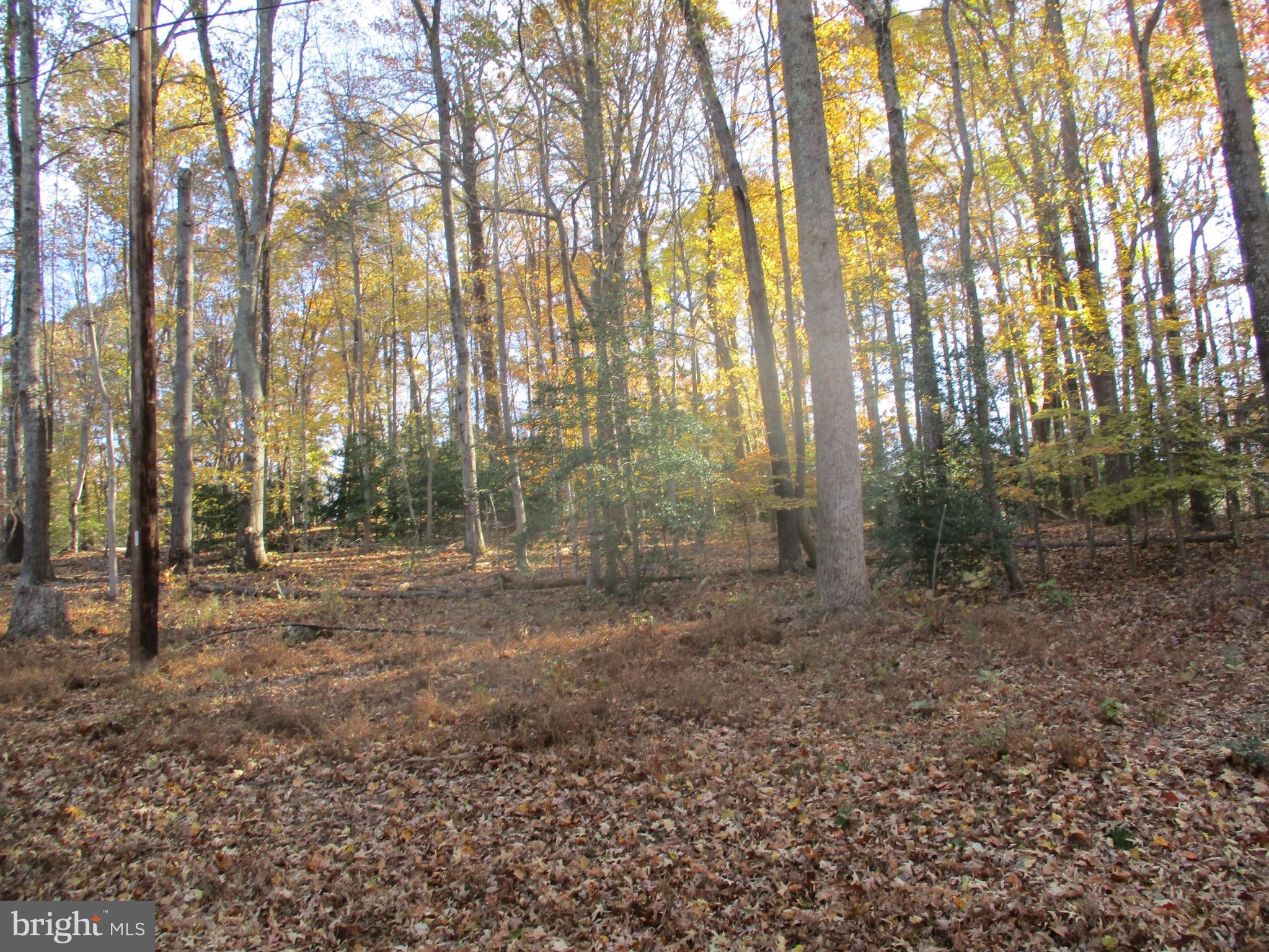 Huntingtown Road Huntingtown, MD 20639 - Photo 14 of 18 View